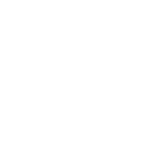 lionSTEEL